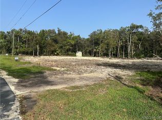 11045 W London Ln, Homosassa, FL 34448