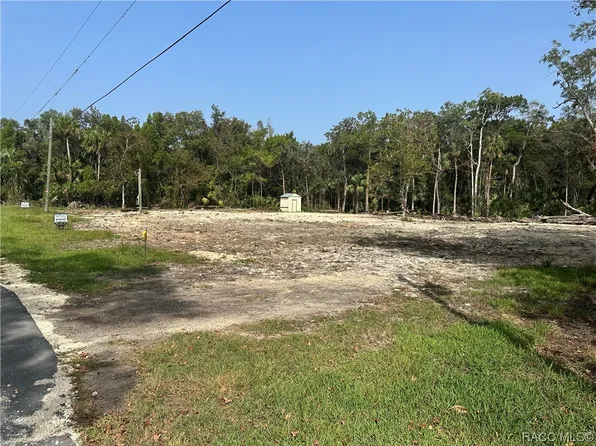 11045 W London Ln, Homosassa, FL 34448