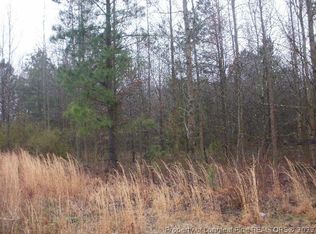 0 S Us Highway 401, Lillington, NC 27546