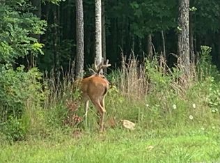 4910 Raulston Falls Rd #JF-106, Jasper, TN 37347