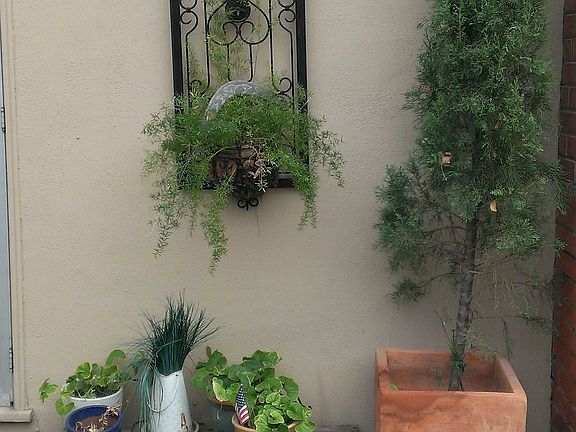 Side Patio