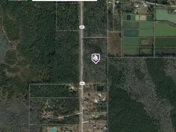 441 Highway, Holden, LA 70744