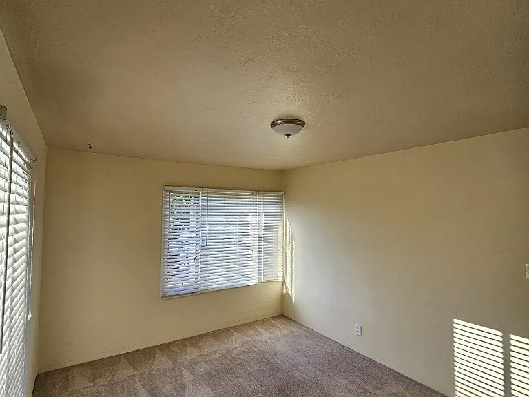 963 Dillo St — Photo 6