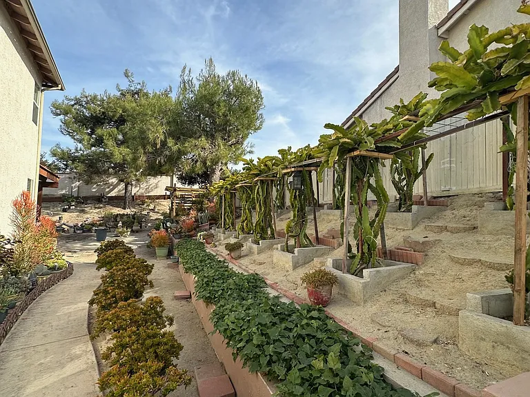 1524 Saran Ct — Photo 14