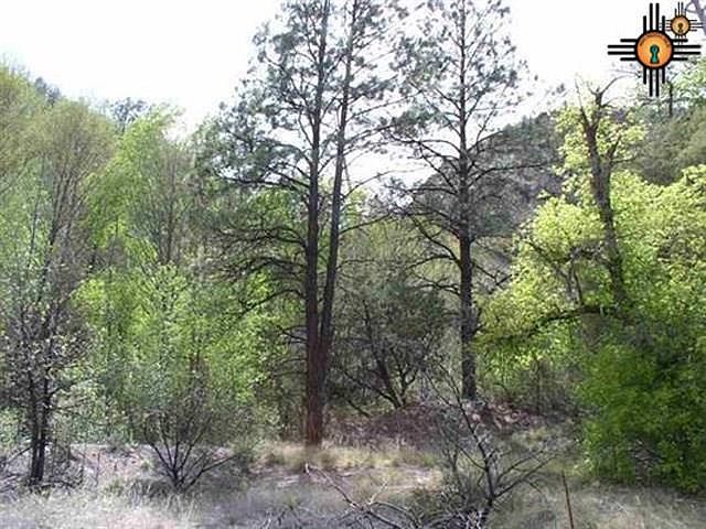 1st image of 119 Saliz Canyon Rd