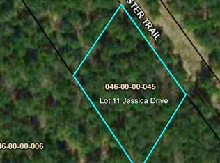 11 Jessica Dr, Williston, SC 29853