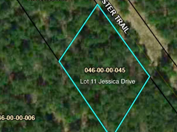 11 Jessica Dr, Williston, SC 29853