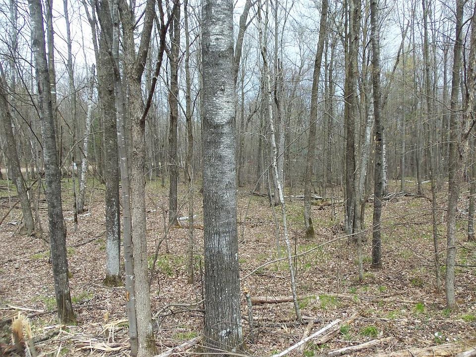 1st image of LOT 10 Lot 10