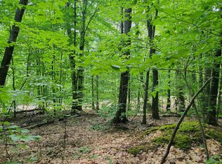 11-1-7 David Thompson Dr, Campton, NH 03223