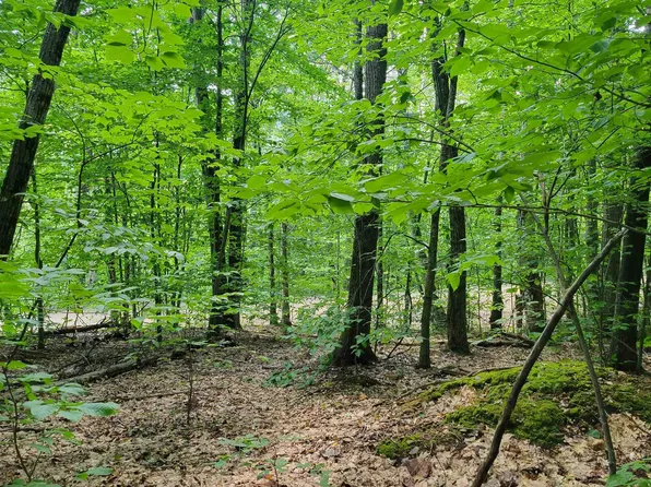 11-1-7 David Thompson Drive, Campton, NH 03223
