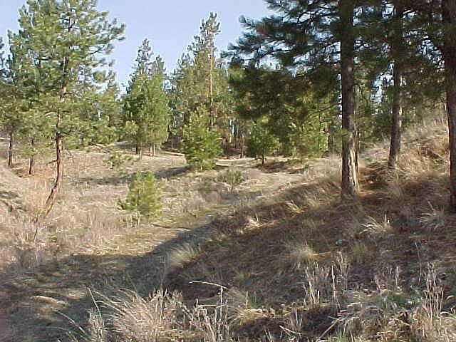 1st image of 17717 Cougars Den Ln