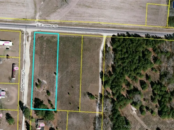 Blue Springs Rd, Red Springs, NC 28377