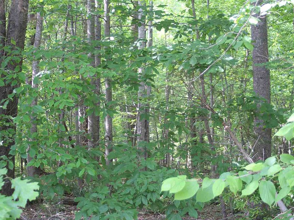 2nd image of LOT 9 W Pool Rd Lot 9