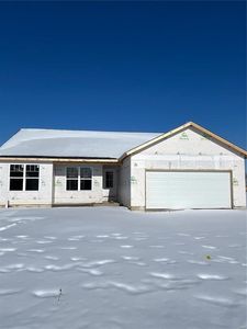 1310 Orchard Lakes Cir, Belleville, IL, 62220