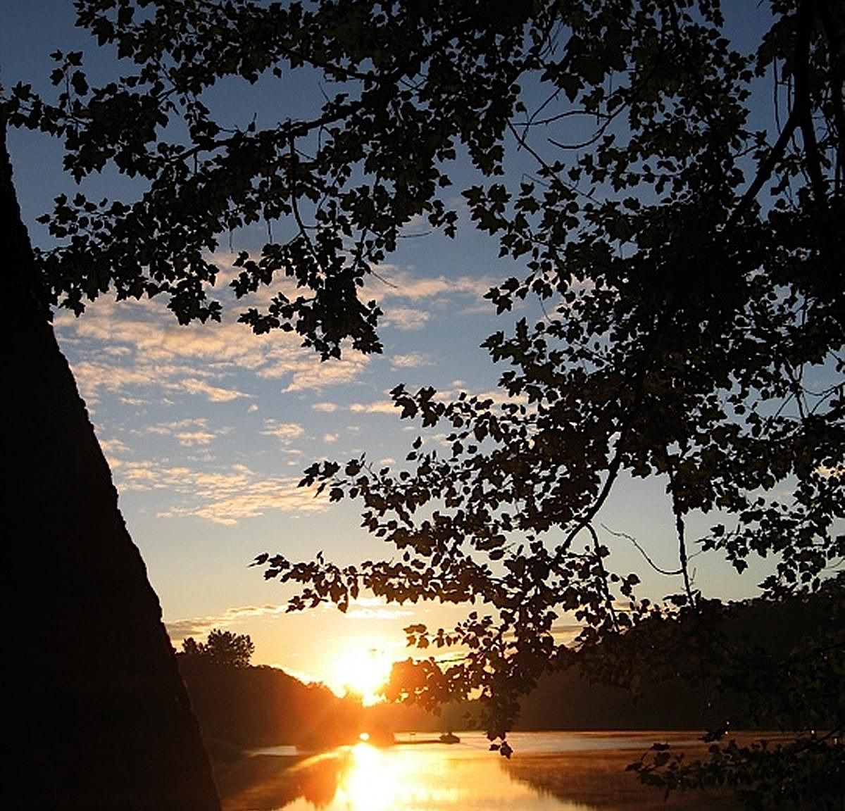 963 Lakeside Dr, Corfu, NY 14036 Zillow