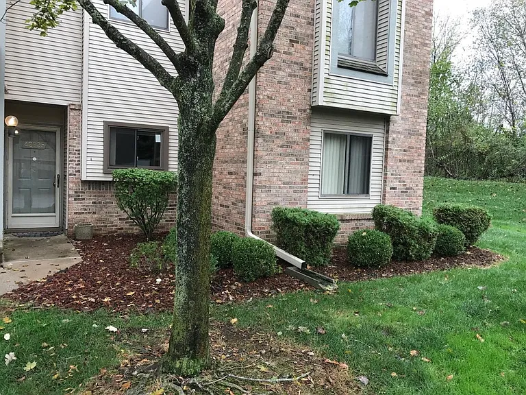 42825 Lilley Pointe Dr — Photo 2