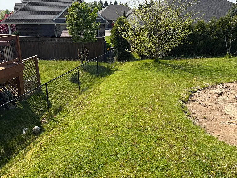 204 Peach Tree Blvd #MAIN LEVEL — Photo 36