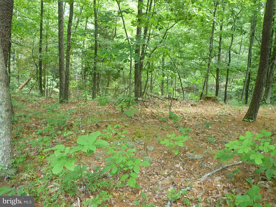 2nd image of 106 Palmer Rd