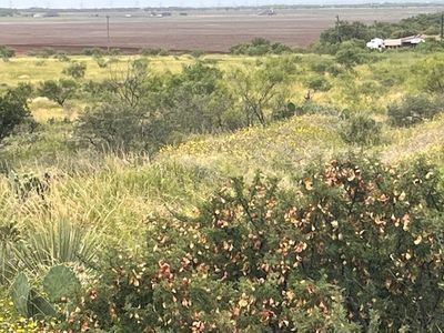 Tbd4 County Rd #405, Merkel, TX, 79536