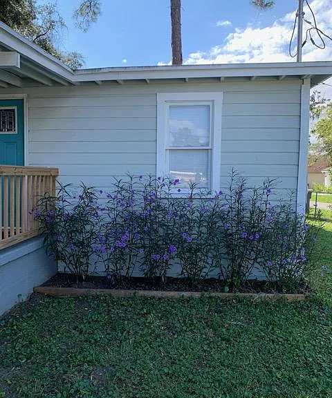 2702 White Ave — Photo 7