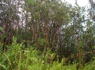 Opeapea Road Rd #7-LOT 4507, Mountain View, HI 96771