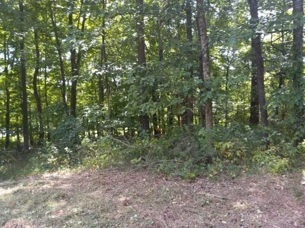 310 Rock McClain Rd, Dresden, TN 38225