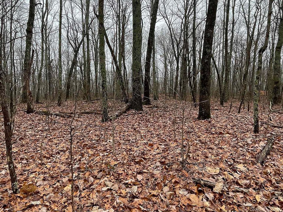 2nd image of 40 Myers Dr