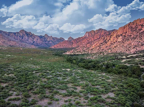 M223 E Cougar Trl, Saint David, AZ 85630