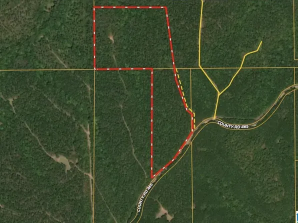 0 County Road 465 #0, Clanton, AL 35046