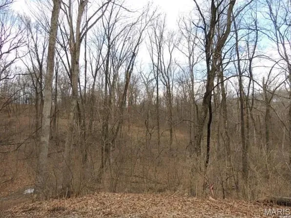 1001 Chesterfield Forest Dr, Chesterfield, MO 63005