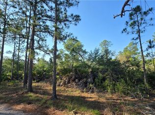 1605 Nectar Ave, Sebring, FL 33875