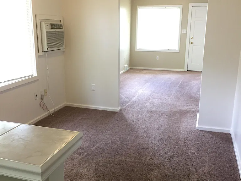101 E Harwood Ave — Photo 15