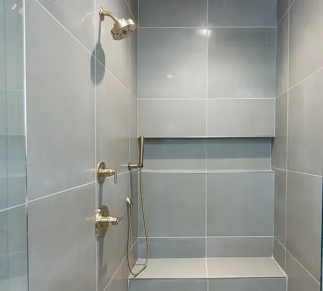 Master Bath Shower