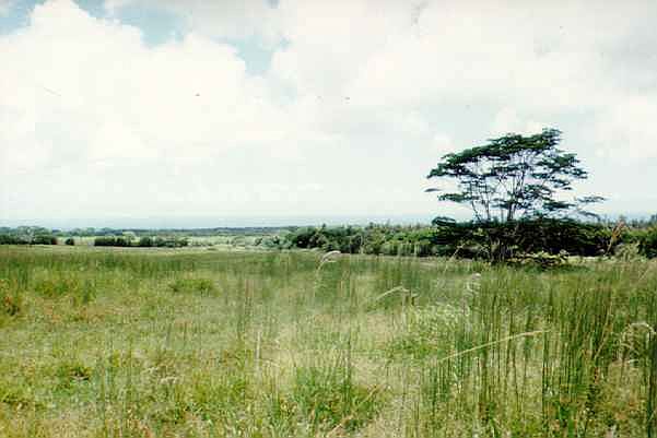 1st image of S Kopua Rd Lot 133