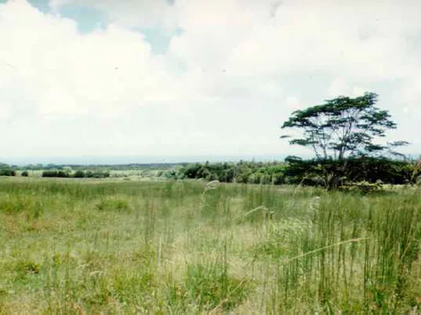 S Kopua Rd Lot 133, Mountain View, HI 96771