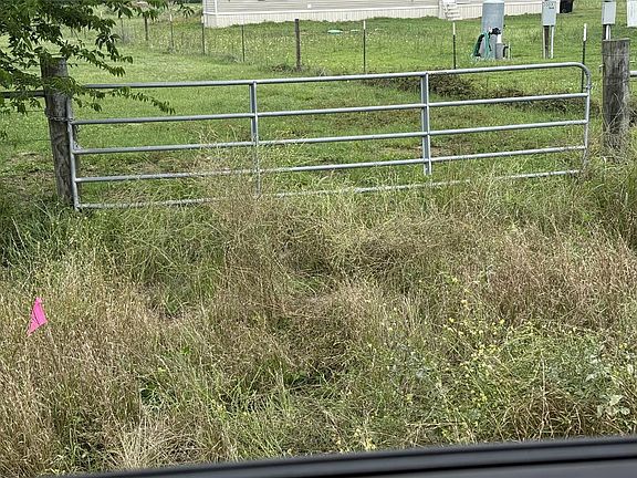3rd image of County Road 166 Rd