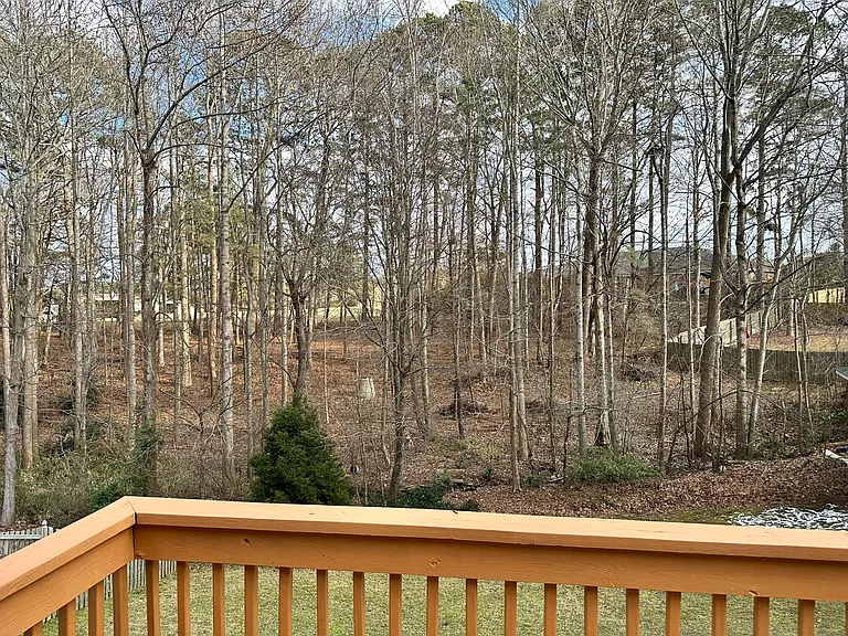 Private backyard with peaceful wooded views
