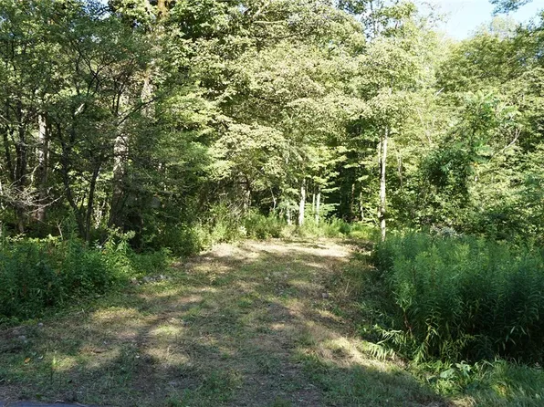 385 County Route 47 #50, Redfield, NY 13437
