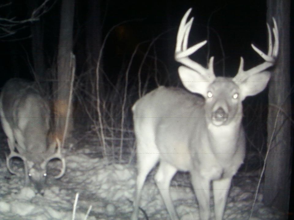 1st image of N8002 Ashley Rd