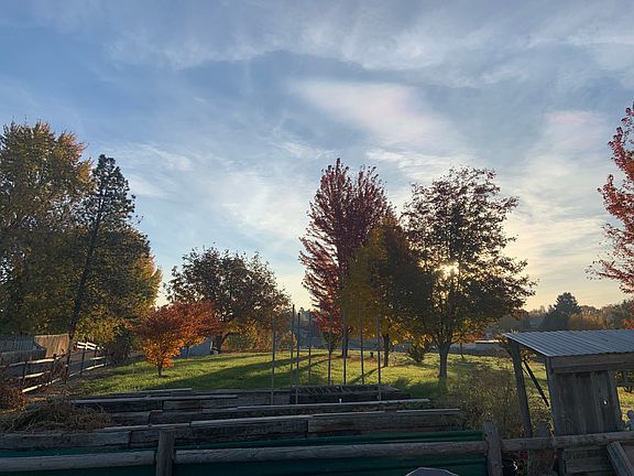 2 1/2 acres grass and trees