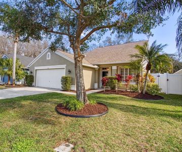 418 Cypress View Dr, Oldsmar, FL, 34677