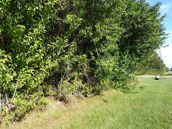 5th image of 23132 Olean Blvd.