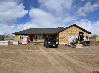 20207 Lilac Ct, Eckert, CO 81418