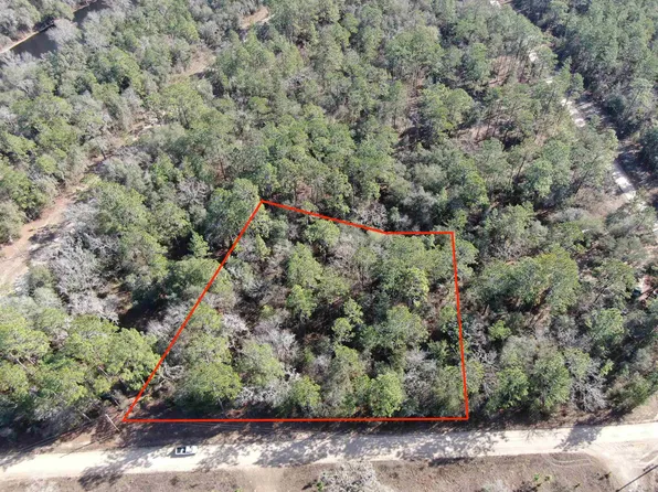 Vacant Ne Blackjack Loop #1, Lee, FL 32059