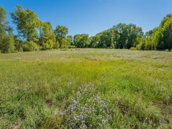 tbd W Denver Avenue, Gunnison, CO 81230