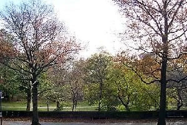 Rented by Douglas Elliman | media 24