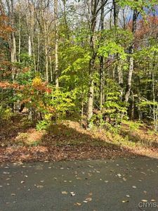 Silverstone Rd #21, Remsen, NY, 13438