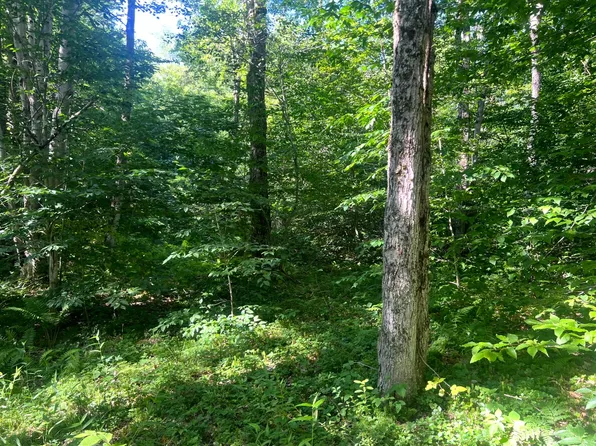 Lots 6 And 7 Carleton Pond Rd, Camden, NY 13316
