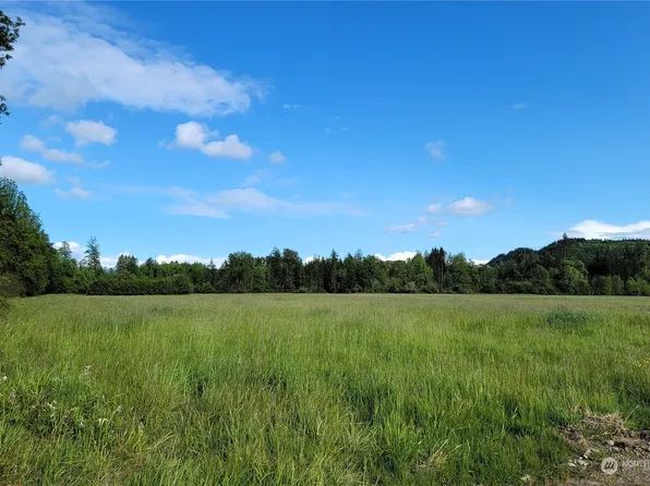 0 Williams Creek Road, Oakville, WA 98568