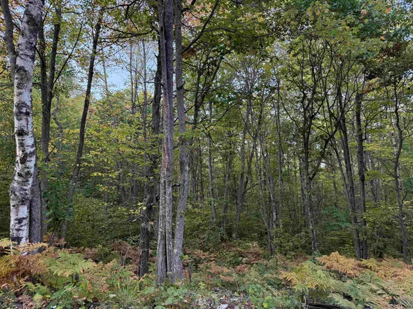 0 Old Highway 2, Iron River, WI 54847